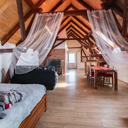 Penzion Na Barokni Ceste Wellness & Spa Plasy Exterior foto